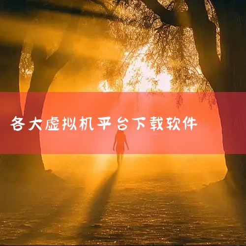 虚拟机软件有多个不同的下载渠道，常见的有官方网站、应用商店等。一、官方网站许多知名的虚拟机软件都有自己的官方网站，如VMware Workstation Pro、VirtualBox 等。在其官方网站,