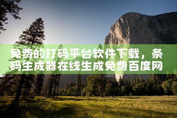 免费的打码平台软件下载