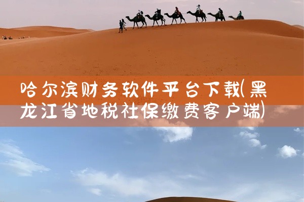 哈尔滨财务软件平台下载