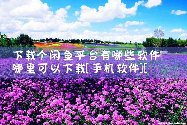 下载个闲鱼平台有哪些软件