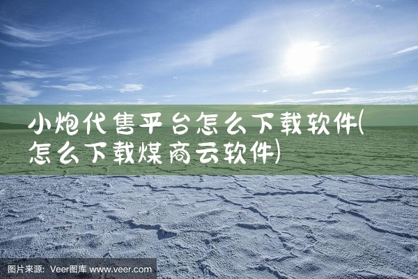 小炮代售平台怎么下载软件