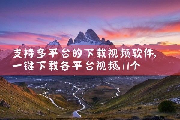 支持多平台的下载视频软件