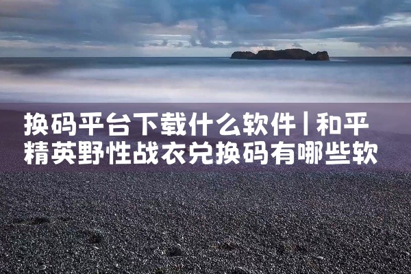换码平台下载什么软件