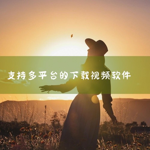 总结：多平台视频解析下载工具是一款功能全面、操作便捷的视频下载软件。它支持多个视频平台的解析与下载，...|